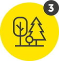 csm_icon3-wald_fe1959db9e-27f54483